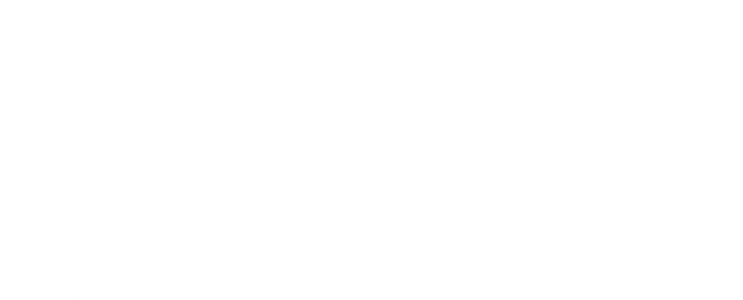 Torque Dynamics